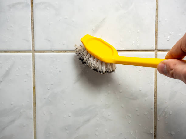 Best Home Mold Removal  in Bonneauville, PA
