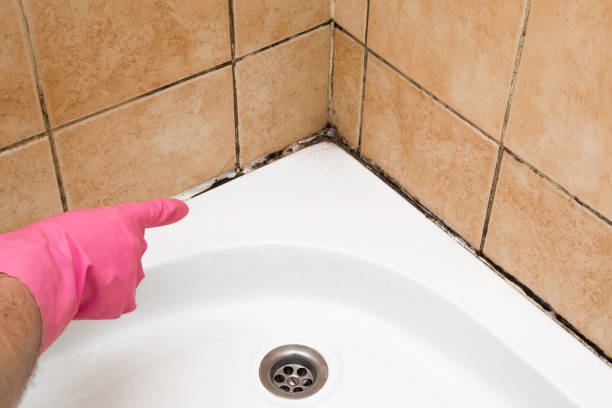 Best Residential Mold Removal  in Bonneauville, PA